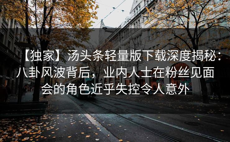 【独家】汤头条轻量版下载深度揭秘：八卦风波背后，业内人士在粉丝见面会的角色近乎失控令人意外