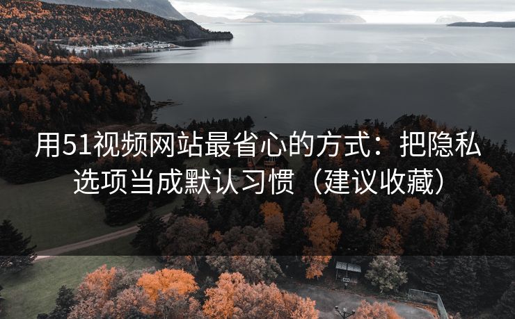 用51视频网站最省心的方式：把隐私选项当成默认习惯（建议收藏）