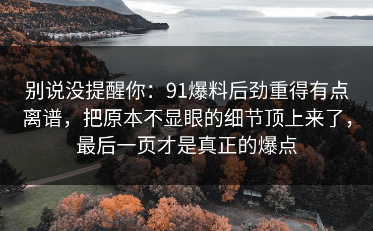 别说没提醒你：91爆料后劲重得有点离谱，把原本不显眼的细节顶上来了，最后一页才是真正的爆点