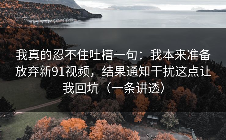 我真的忍不住吐槽一句：我本来准备放弃新91视频，结果通知干扰这点让我回坑（一条讲透）